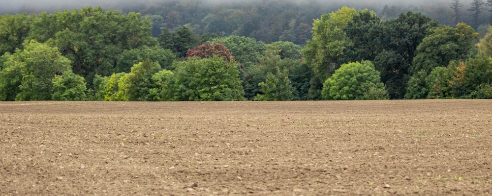 토(土) 오행 많은 사주특징