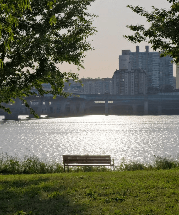 웨스틴 서울 파르나스: 강남 웰니스 호캉스&#44; 이것만 알면 성공!