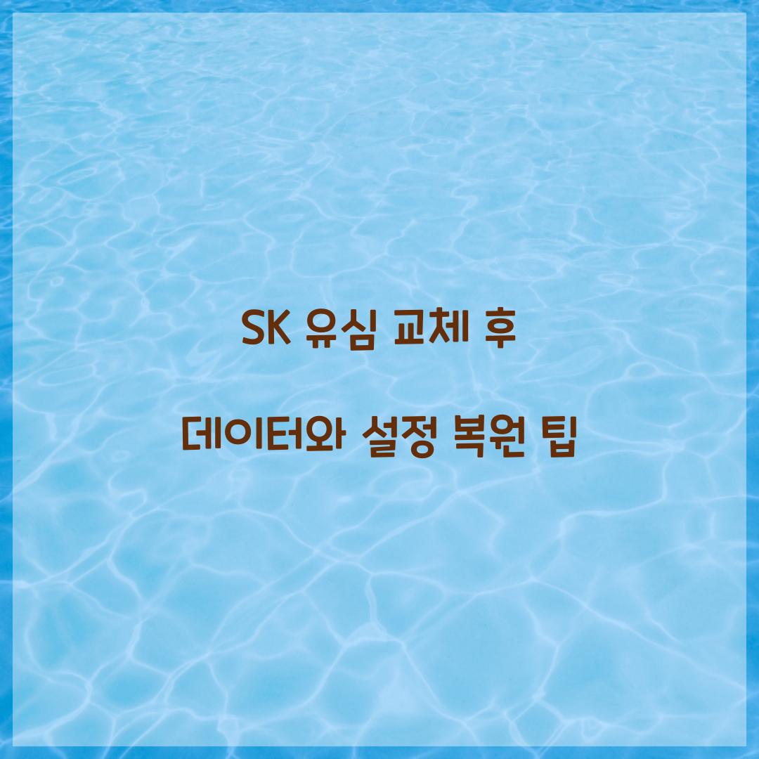 SK 유심 교체 후 데이터와 설정 복원하는 방법