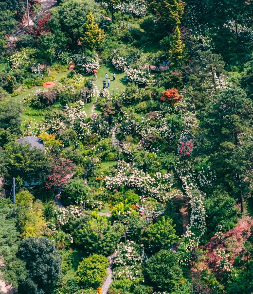 죽화경 (전남 담양)
