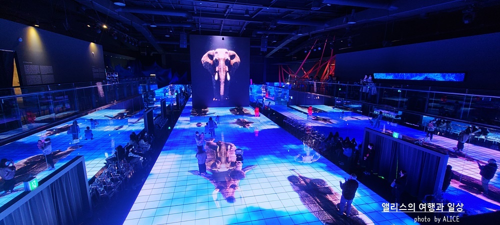 부산 실내 액티비티 추천 BEST 08 가볼만한곳 추천 체험관 포함