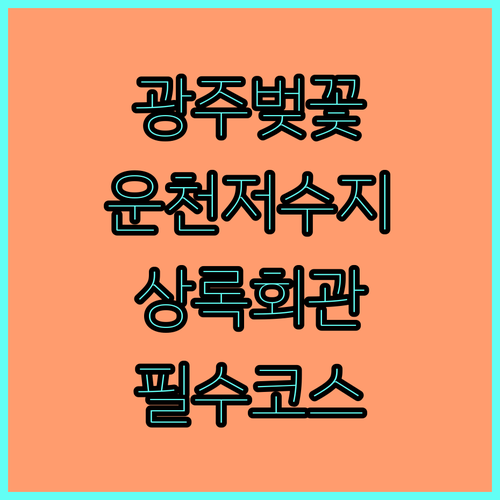 광주 서구 벚꽃 명소 운천저수지 상록..