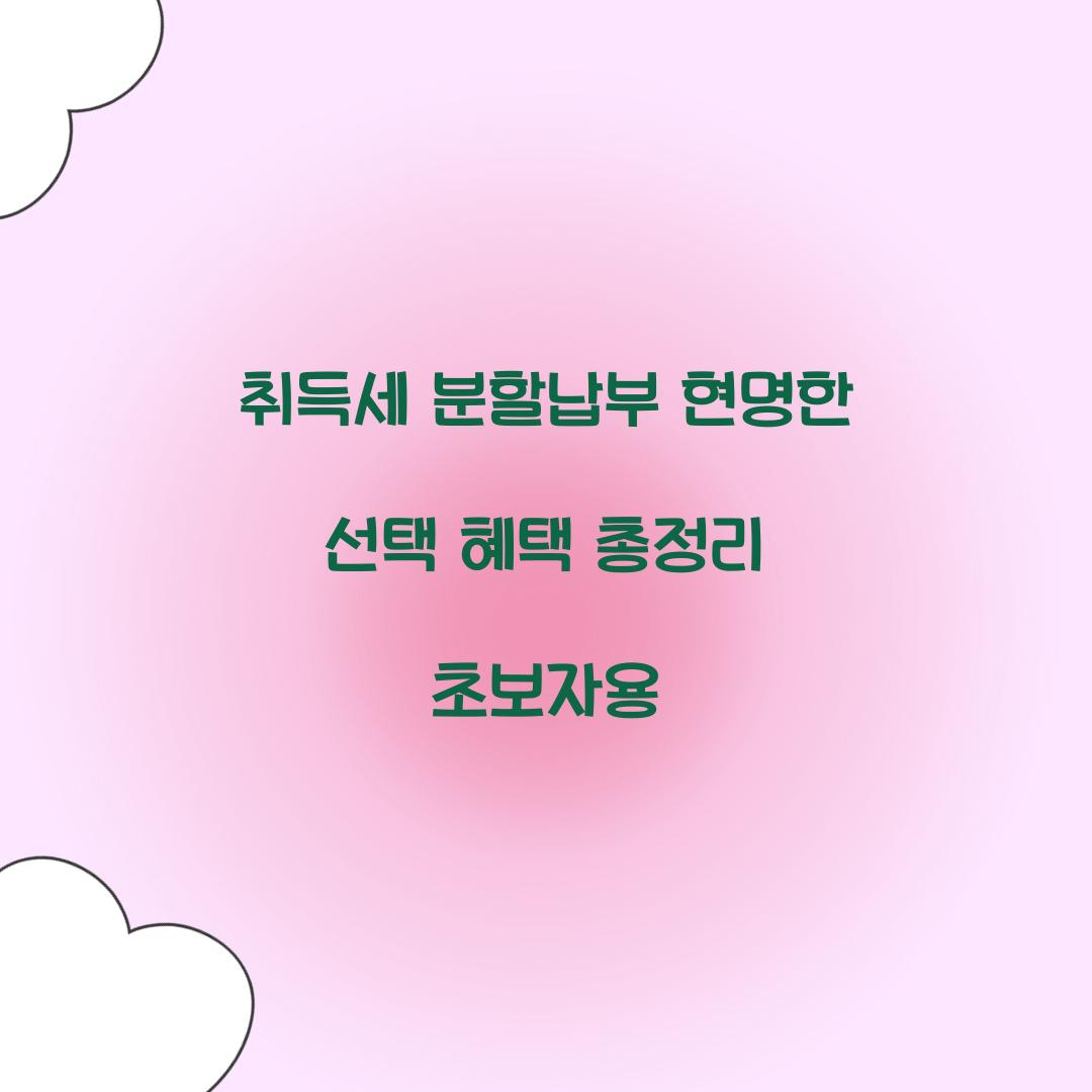 취득세 분할납부