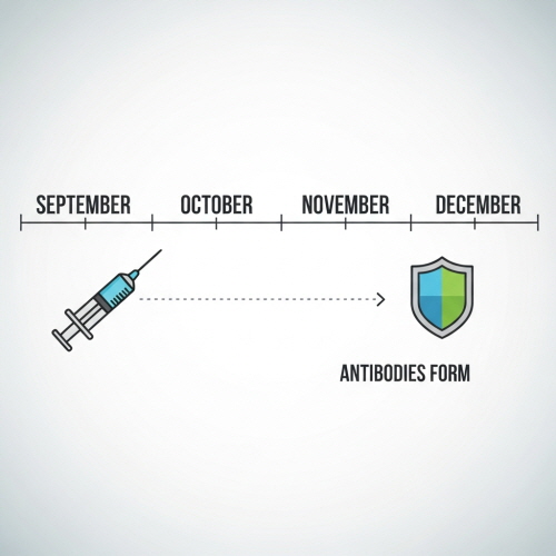 독감예방접종 시기
