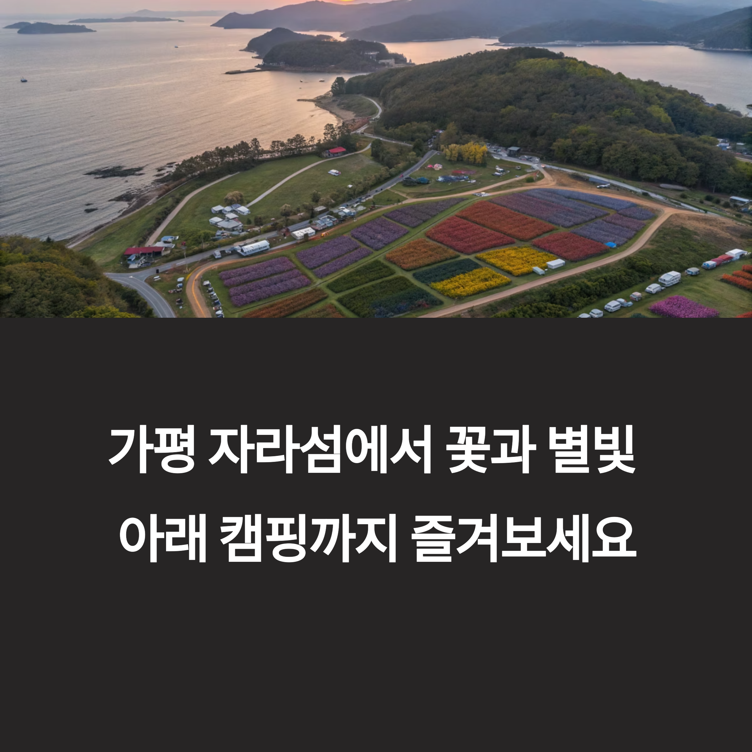 가평 자라섬, 꽃축제와 캠핑이 어우러진 낭만 섬 여행