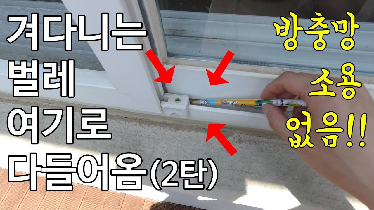 현관 앞 벌레&amp;#44; 왜 몰릴까?-출입구