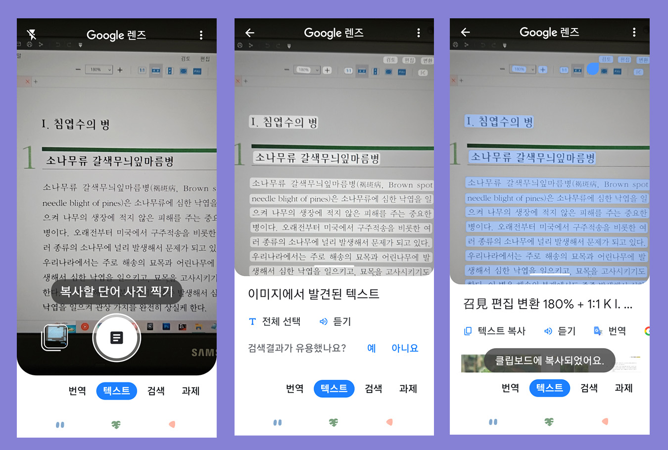 이미지추출2