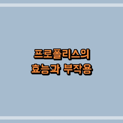 섬네일로, 제목과 동일한 텍스트가 표현되어 있습니다.