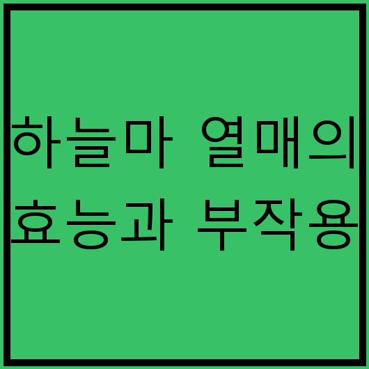 하늘마 열매의 효능과 부작용