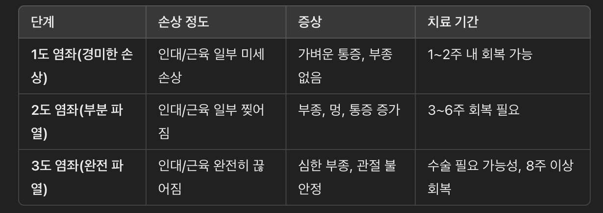 염좌 심각도