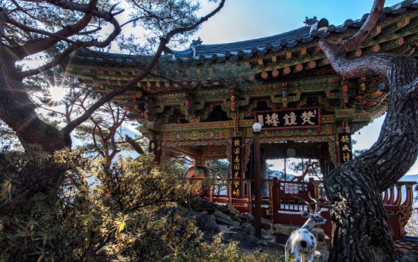 [경남 여행지 추천] 함양 가볼만한 곳 베스트 10 서암정사