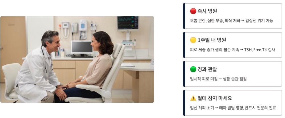갑상선 기능 저하 전문의 상담
