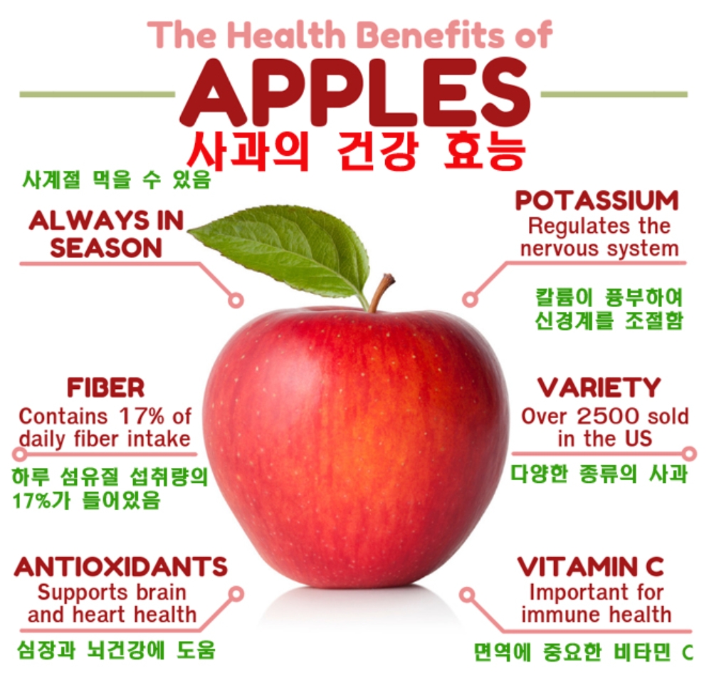 사과의 효능