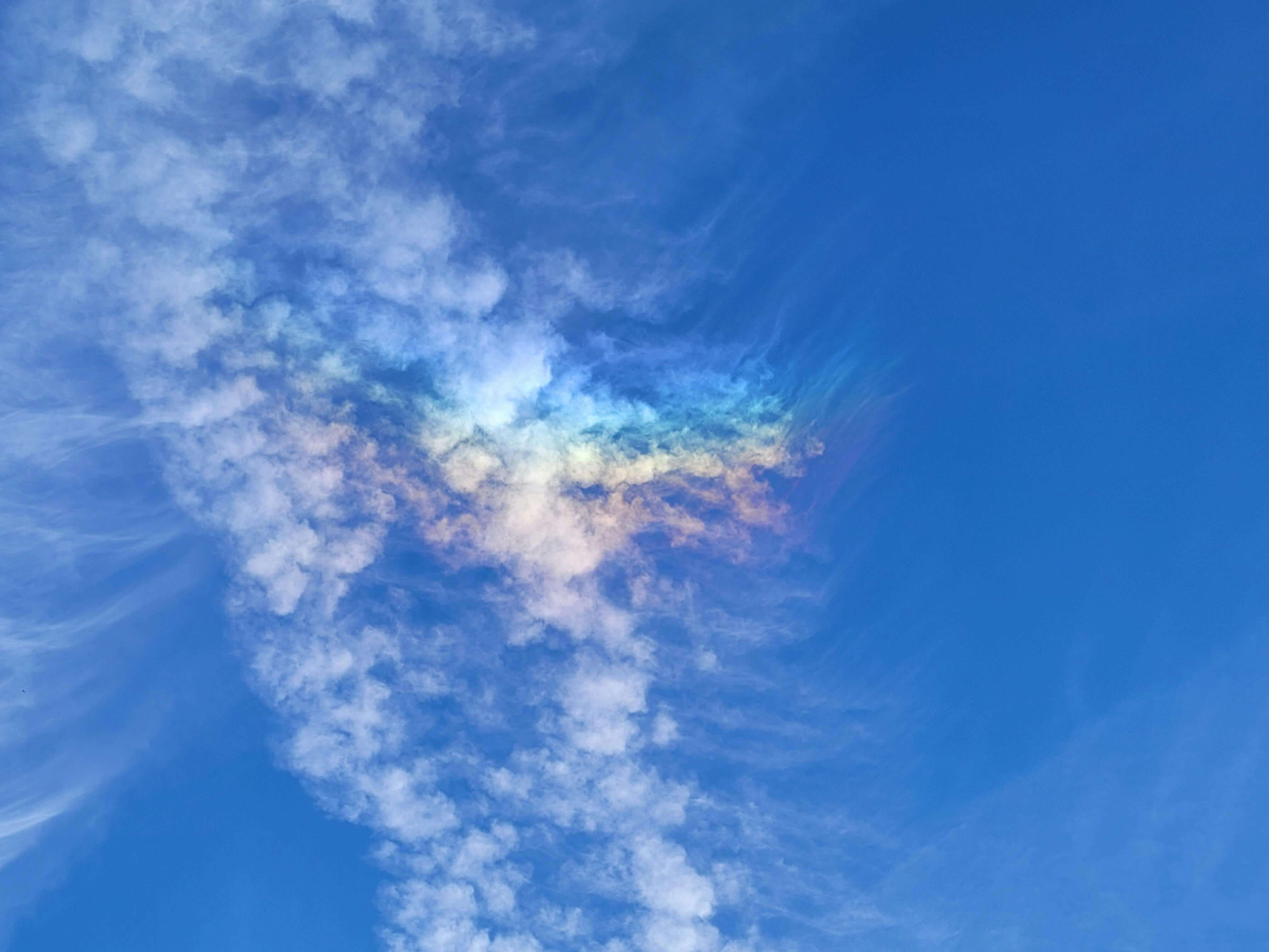 AI 알림 끄기 7일간의 기록 — 평온과 불안의 공존