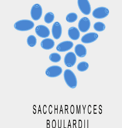 맥주효모의 효능 11가지, 부작용