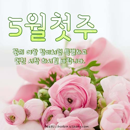 오월첫주이미지