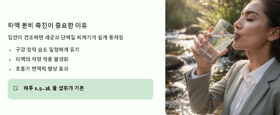 편도결석 제거법 노하우