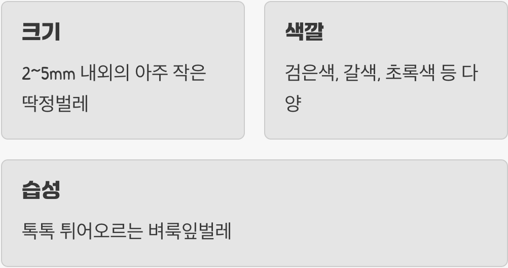 범인은 바로 너! '잎벌레'의 정체