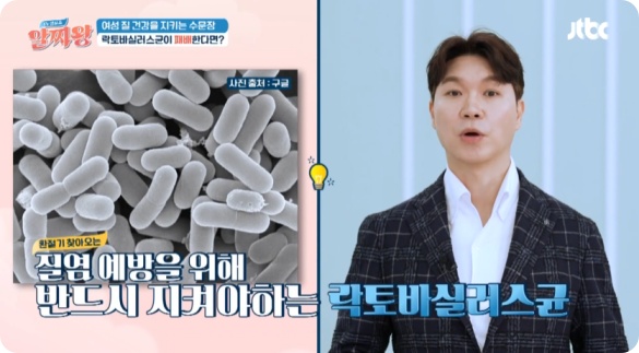 질 건강 유산균 추천