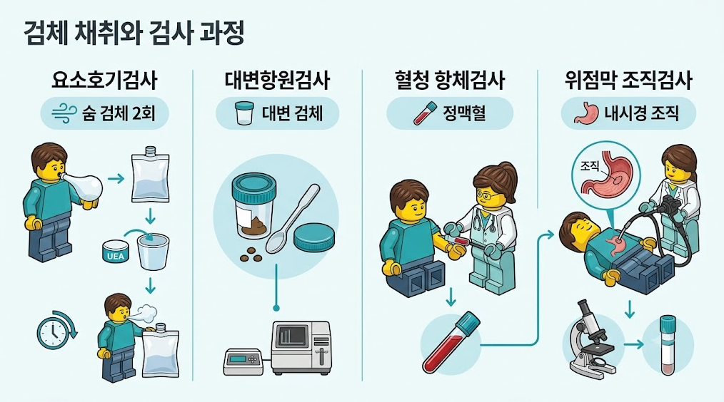 요소호기검사 대변항원검사 혈청항체검사 위점막조직검사의 검체 채취 과정