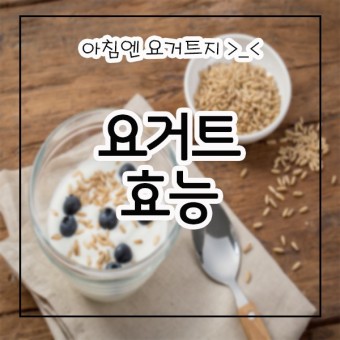 요거트 효능