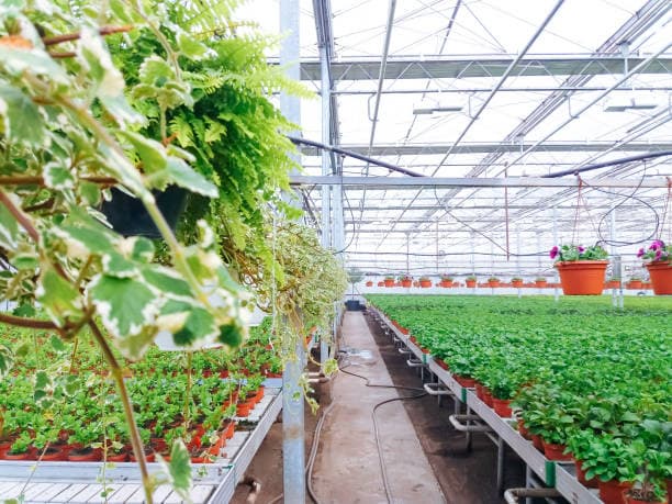 식물 공장의 역사와 아이디어에서 현실