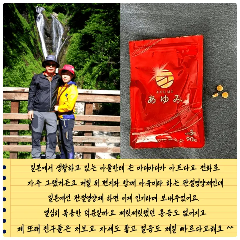 무릎관절영양제