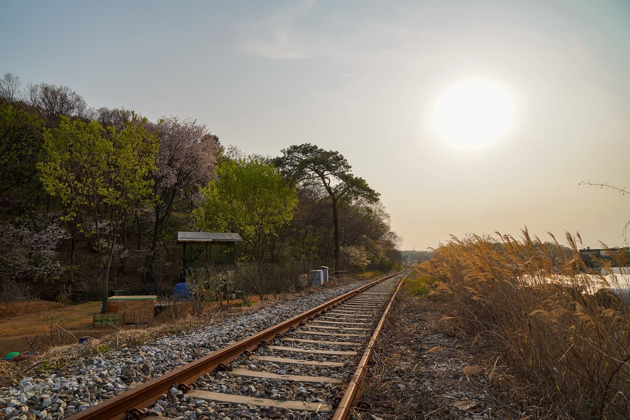 한국 전통 음식 속 숨겨진 특별한 조리 기법