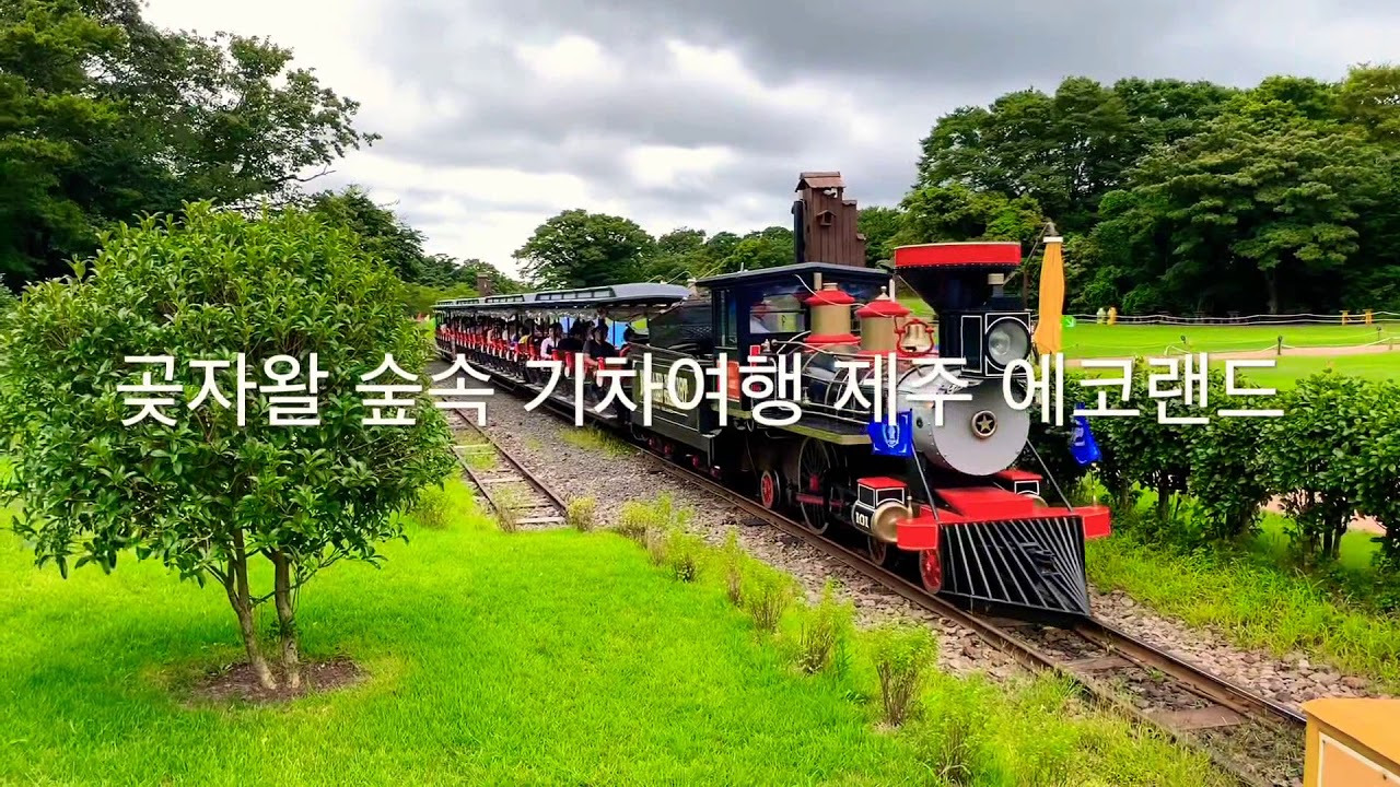 에코랜드기차