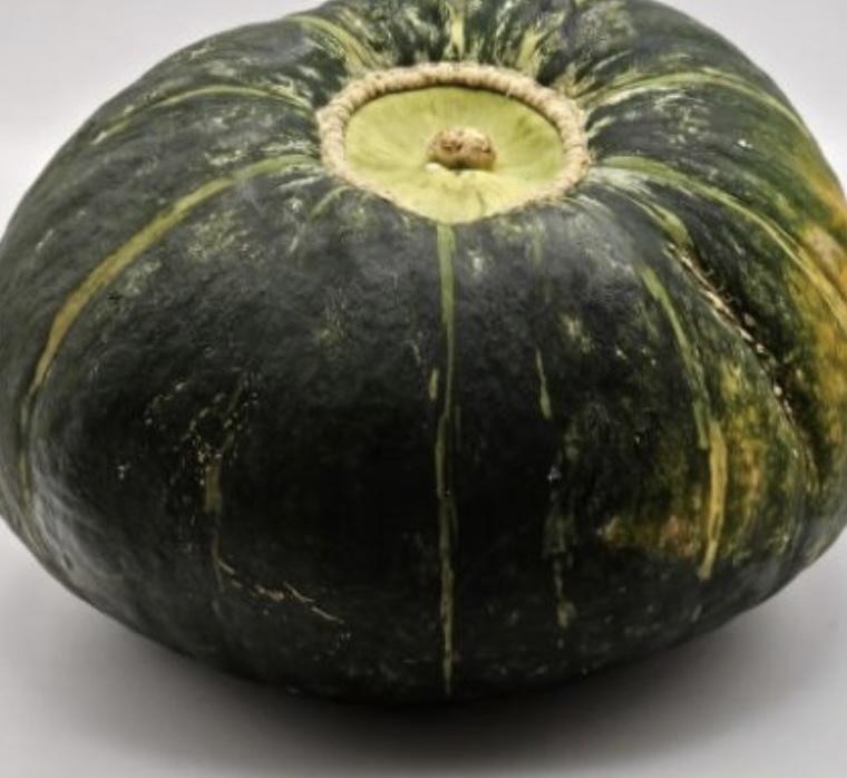 여름 다이어트 식단: 2주 만에 체중 감량 성공하는 비법과 건강한 레시피