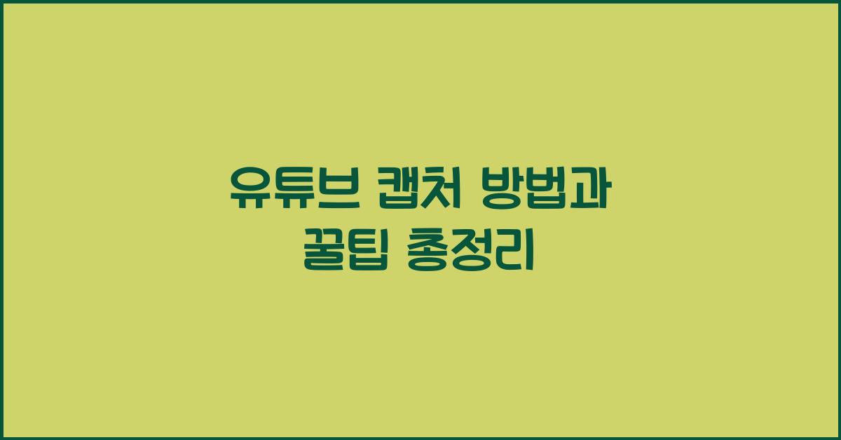 유튜브 캡처