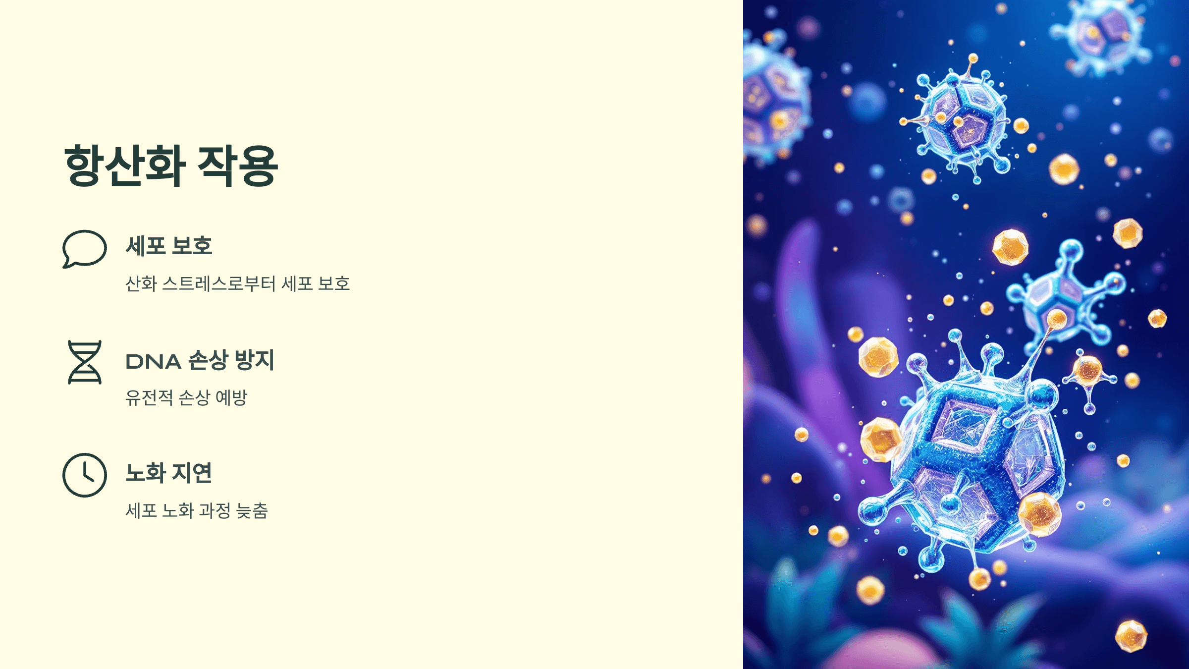 메밀차 사진입니다.