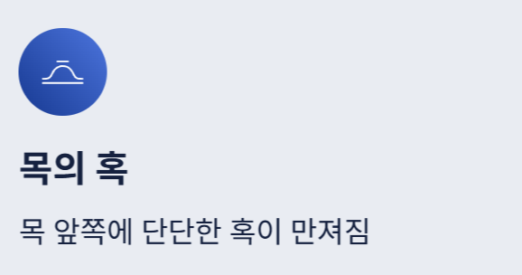 갑상선암 증상