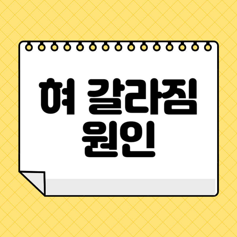 혀 갈라짐 원인