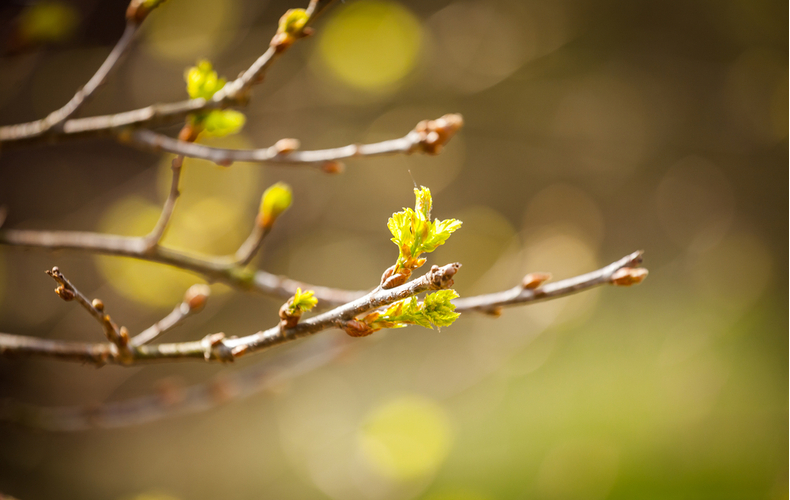 입춘(立春)에 대해 이해