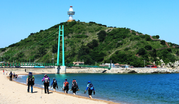 영덕 블루로드