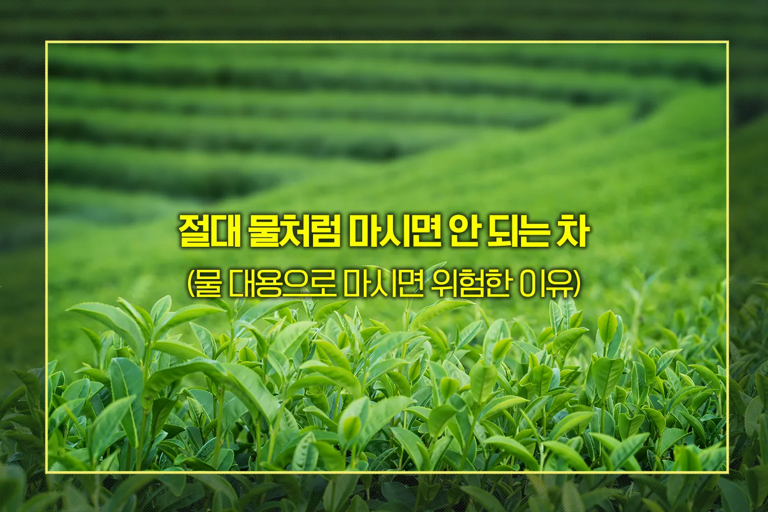물대신-위험한-차