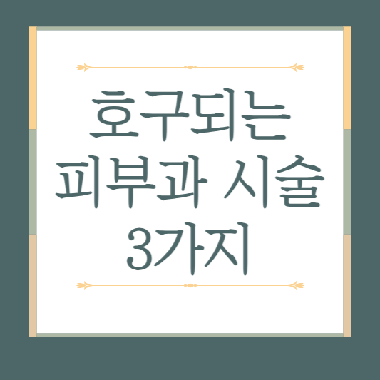 호구되는 피부과 시술 3가지