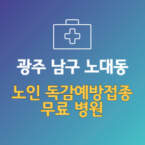 광주 남구 노대동 노인 독감예방접종 무료 병원 (인플루엔자 무료 접종 대상 날짜)