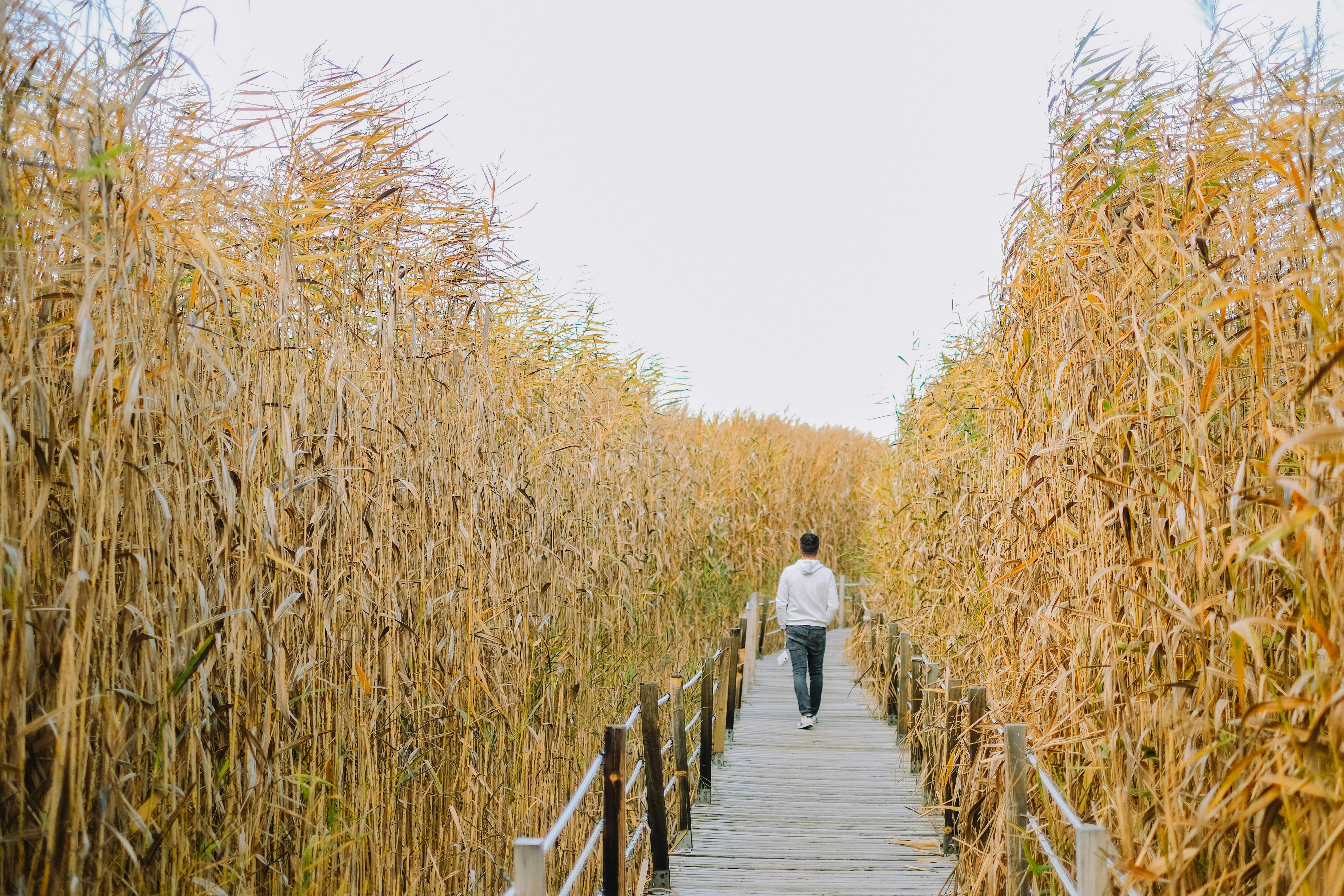 햇살론 vs 은행대출 차이, 조건부터 결과까지 완전히 다릅니다