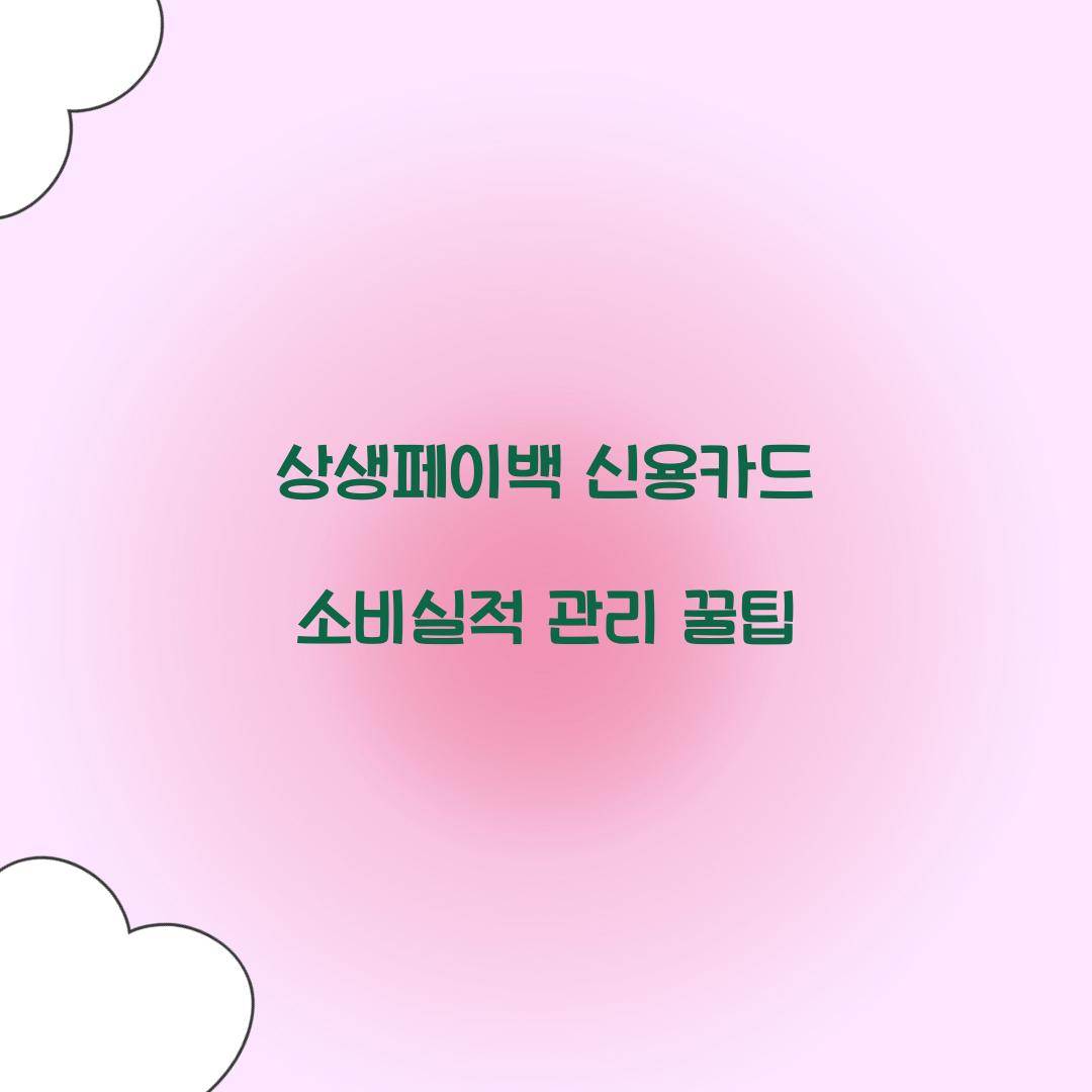 상생페이백 신용카드 소비실적 관리 꿀팁