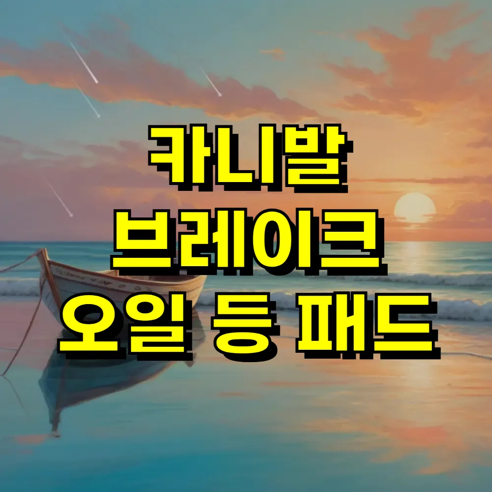 카니발 브레이크 오일 등 패드