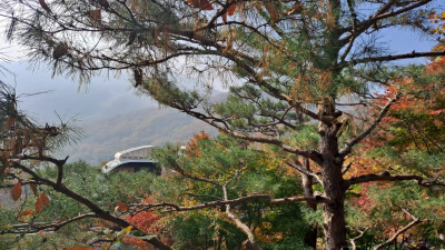 단풍명소_화담숲_모노레일