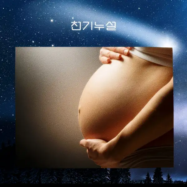 임신하는 꿈 해몽