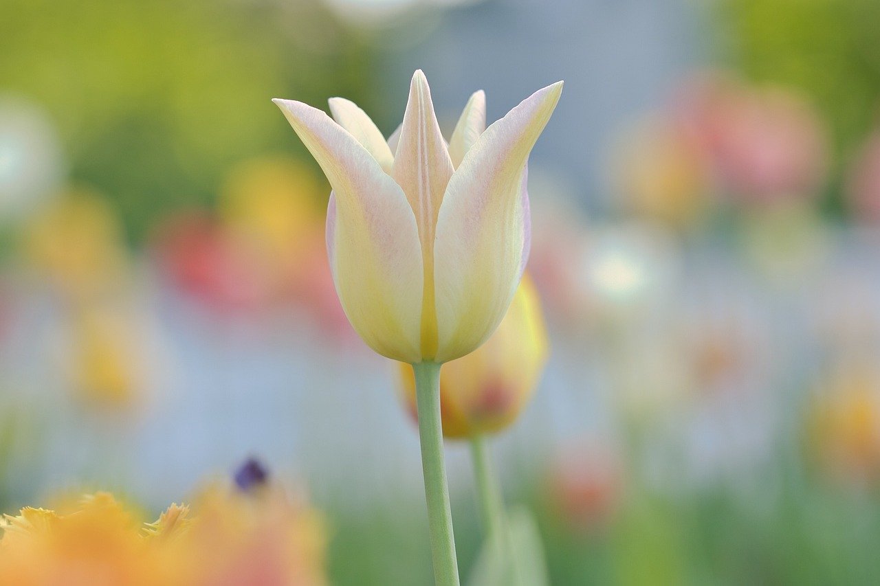 유기농 가드닝 준비물 관련 사진