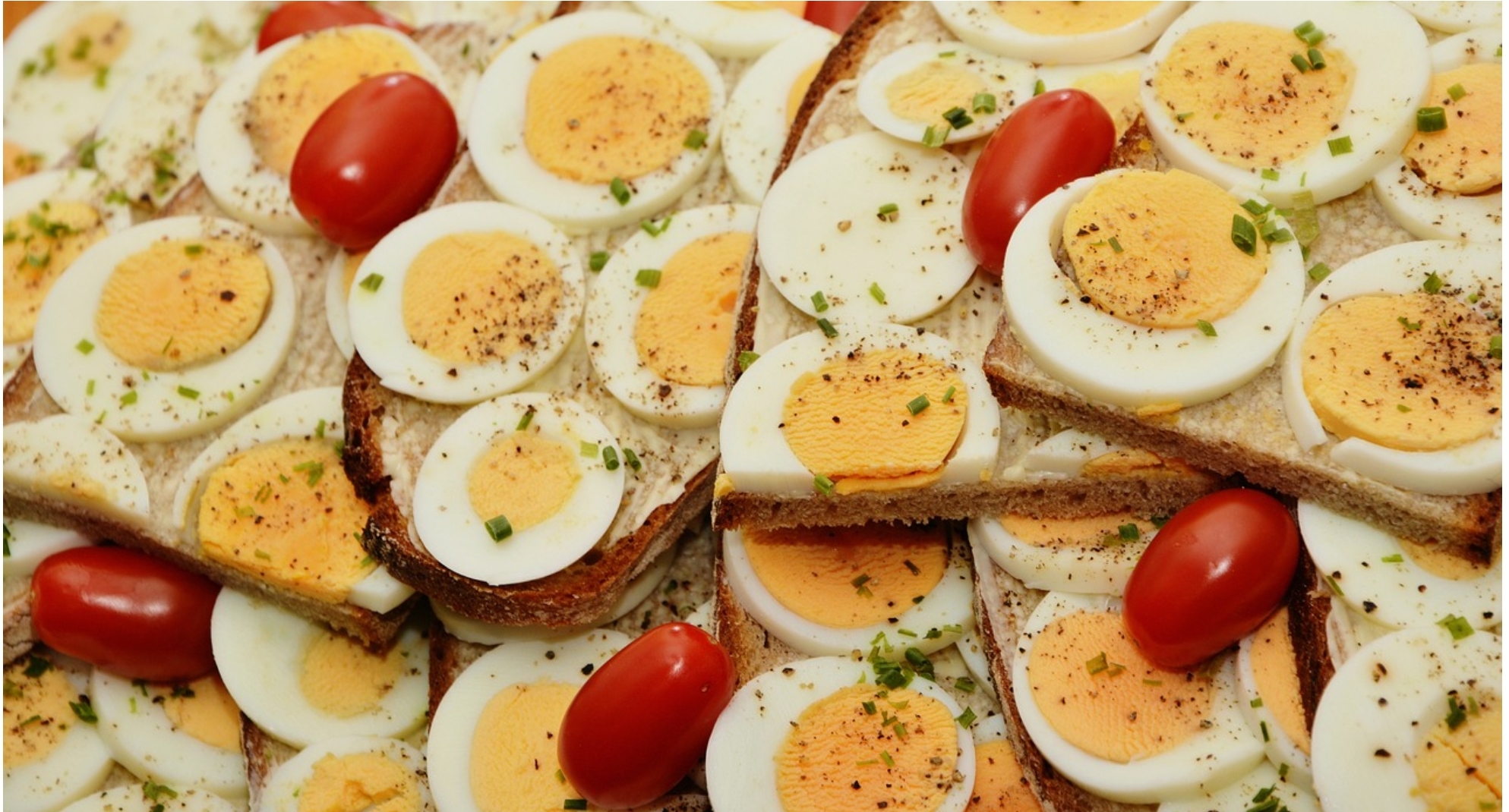 배고픔 없이 다이어트하는 건강한 식단