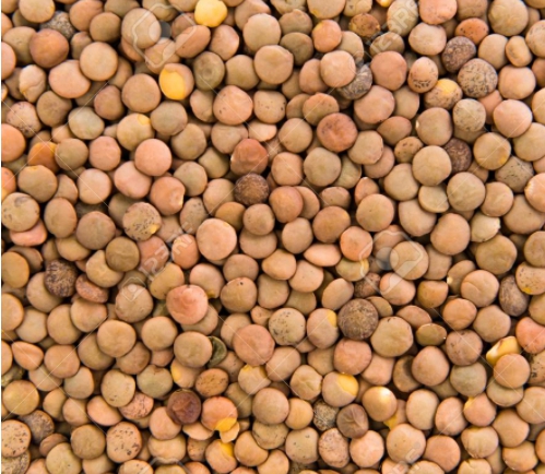 중성지방 낮추는 음식