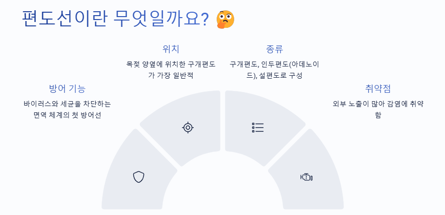 편도선이 붓는이유, 편도선염, 편도선염 증상, 편도선염에 좋은 음식, 편도선 증상