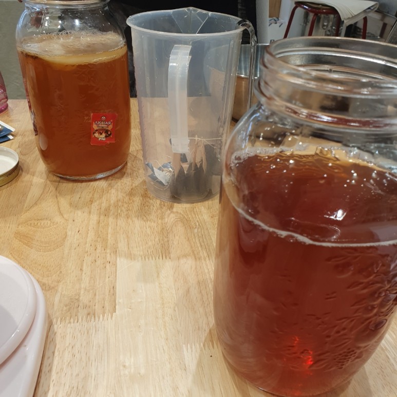콤부차