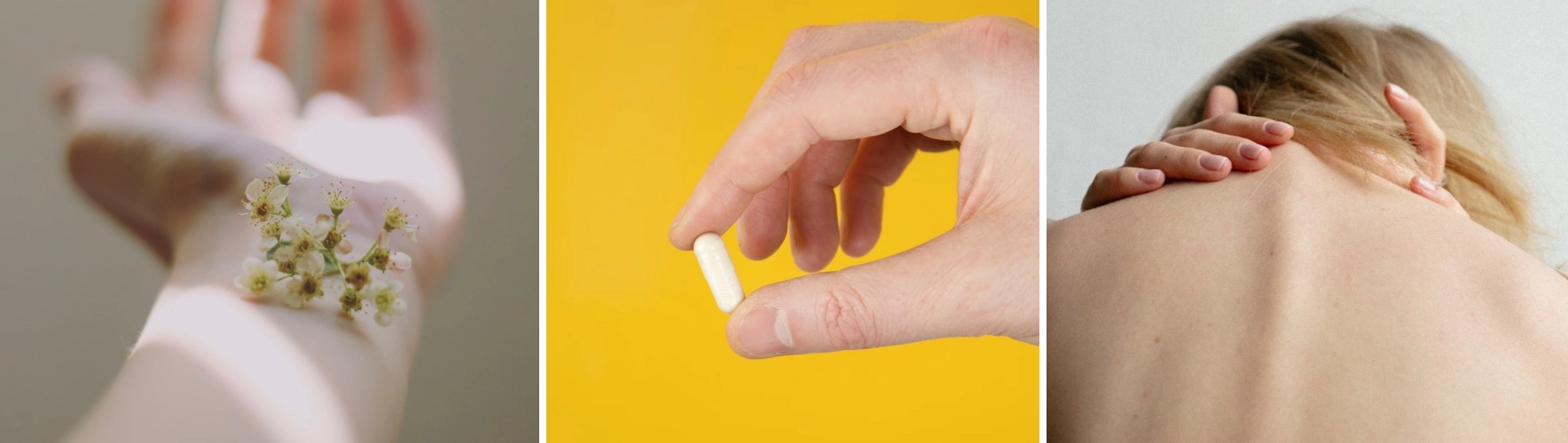 독시사이클린정